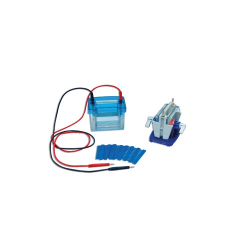 Cubeta vertical para electroforesis - LAN-24.10
