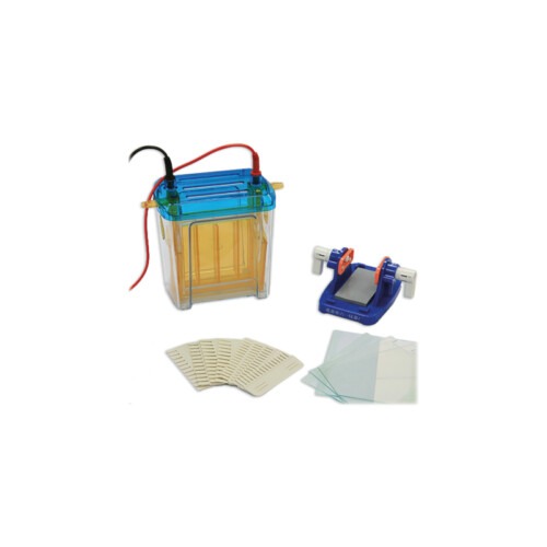 Cubeta vertical para electroforesis - LAN-24.20