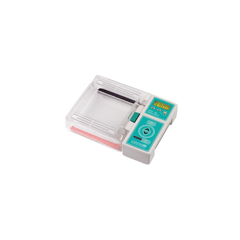 Gel para electroforesis Gel XL