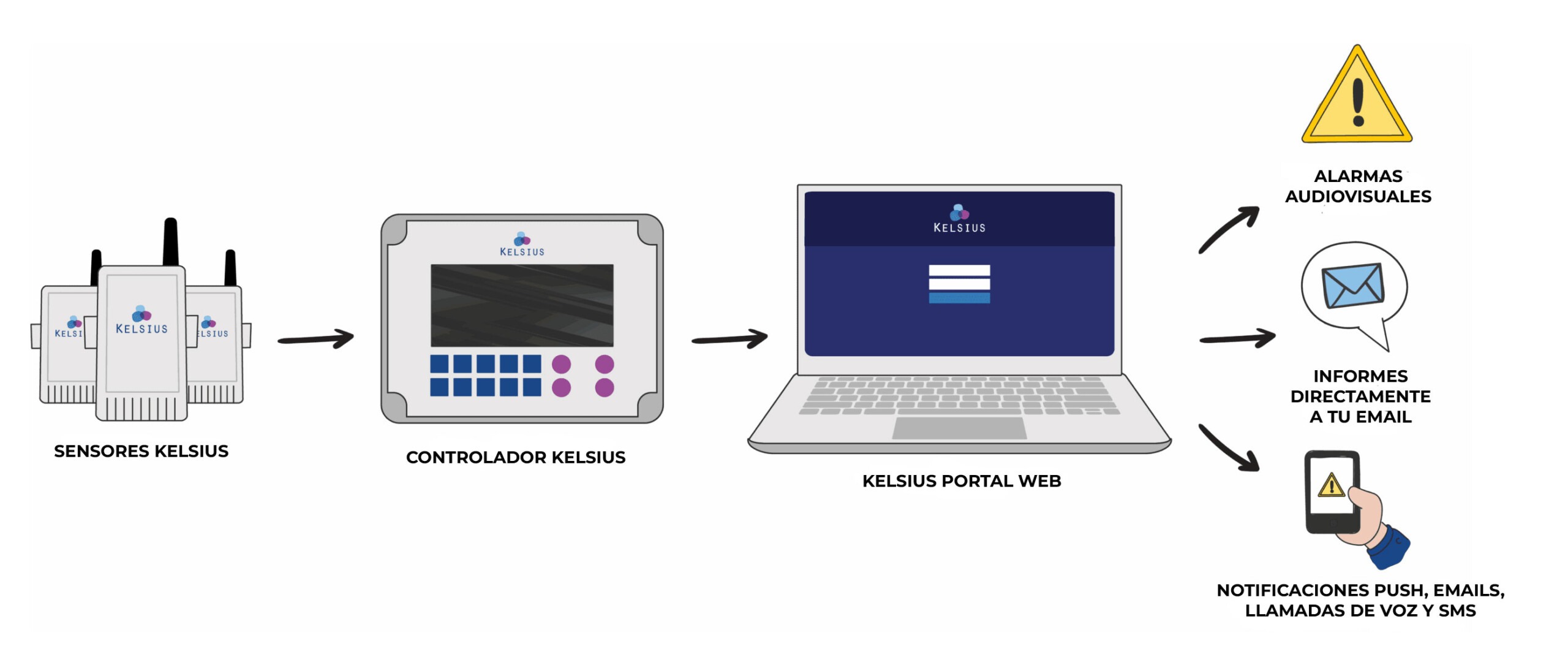 Infografía Coolcheck